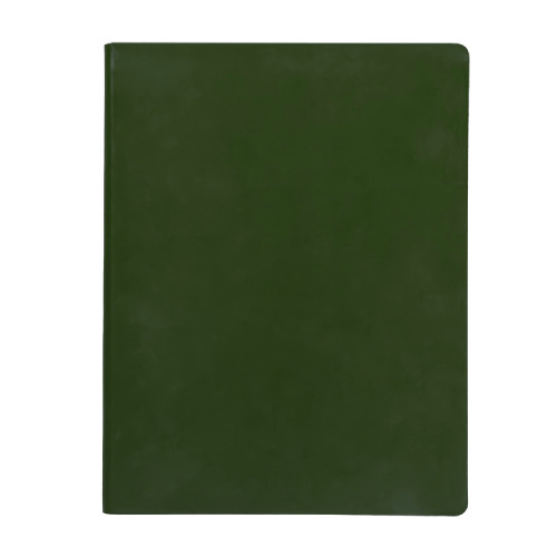 Бизнес-блокнот BIGGY, формат B5,  в клетку (зеленый)