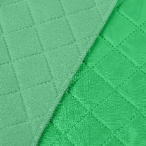 Плед для пикника Soft & Dry, светло-зеленый