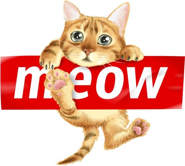meow