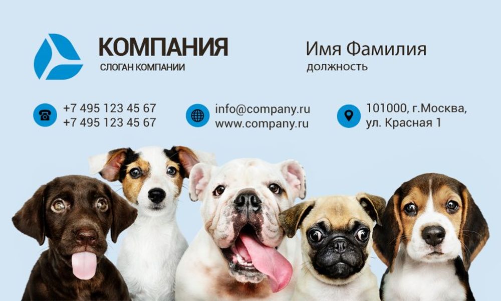 Визитки шаблон Ветеринар; Зоомагазин; Зоотовары (2).psd